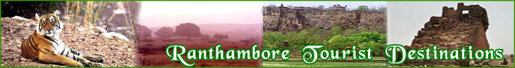 Ranthambore Tourist Destination